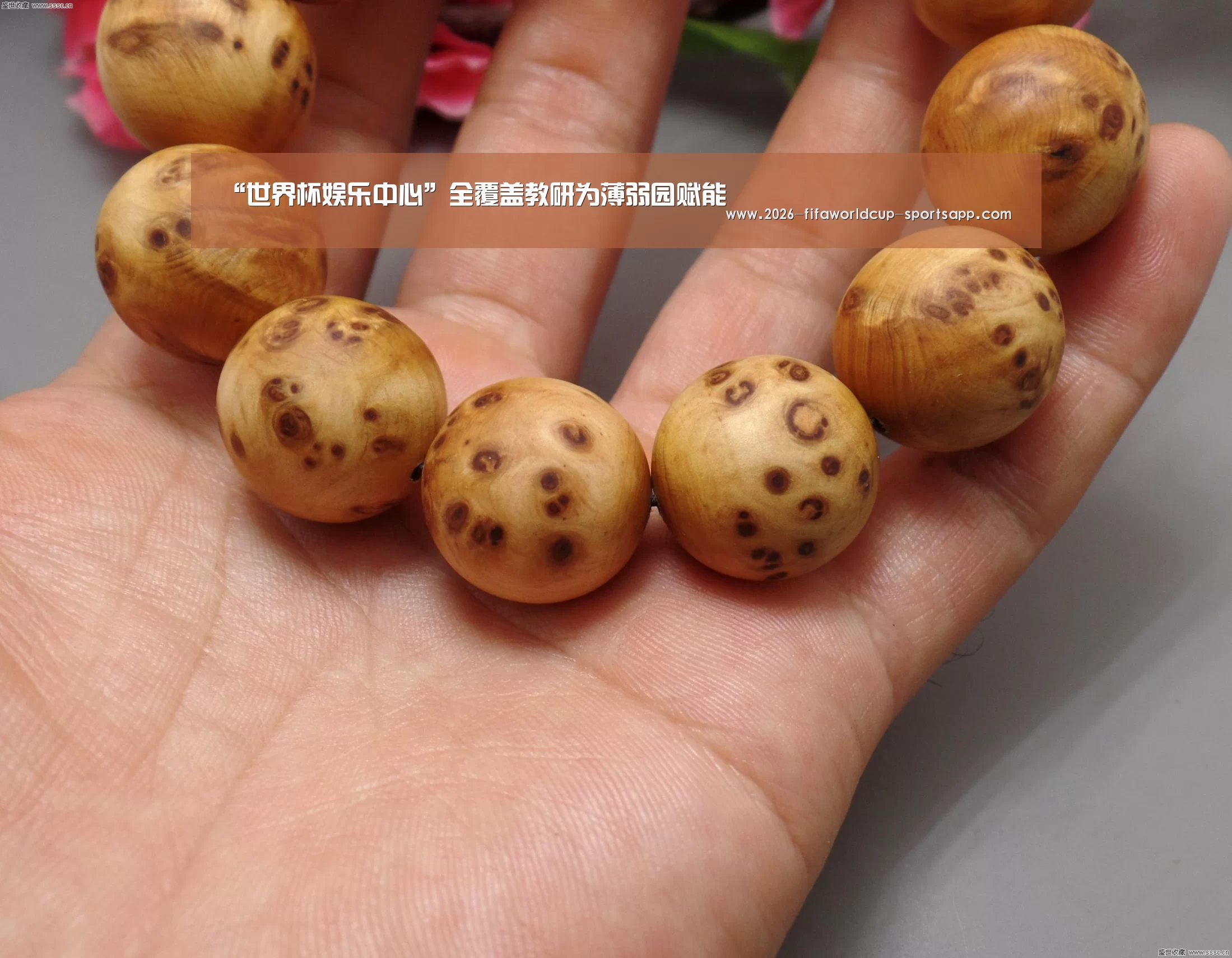  世界杯足球赛事