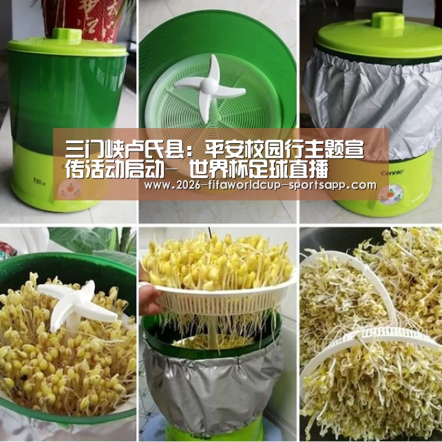 世界杯娱乐中心
